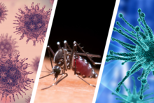 Infectiologie CeGIDD